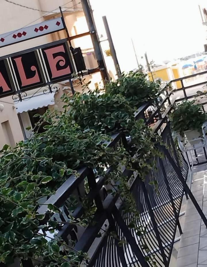 Hotel Ducale Bellaria-Igea Marina Zewnętrze zdjęcie